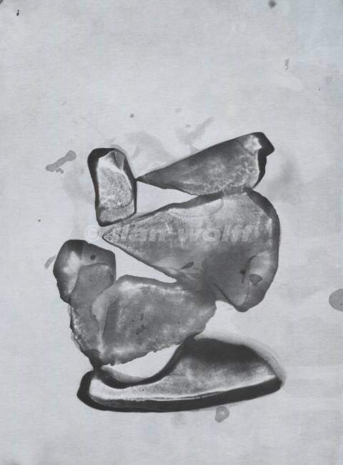 Water no. 802015-18x24cm-Photogram